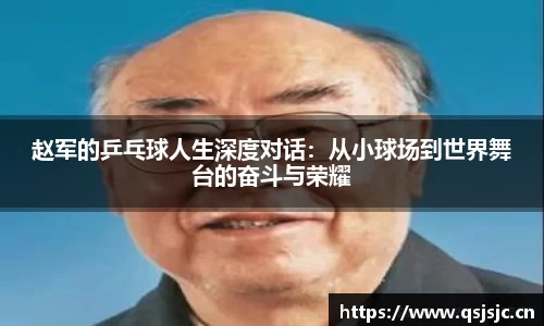 赵军的乒乓球人生深度对话：从小球场到世界舞台的奋斗与荣耀