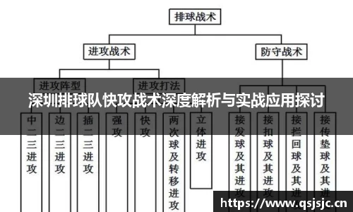 深圳排球队快攻战术深度解析与实战应用探讨